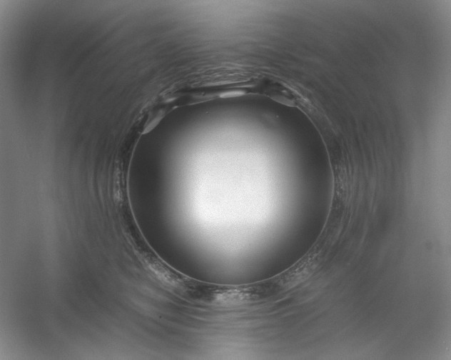 X0000053090470200507251609