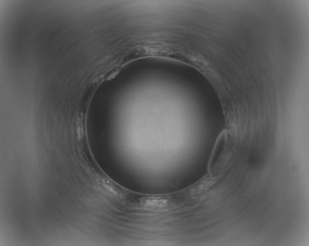 X0000053090471200507251609