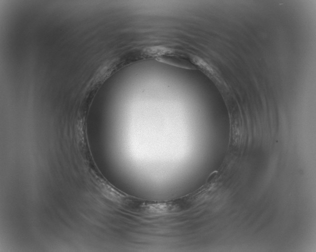 X0000053090473200507251609