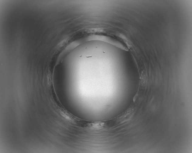 X0000053090474200507251609