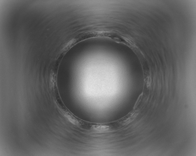 X0000053090476200507251609