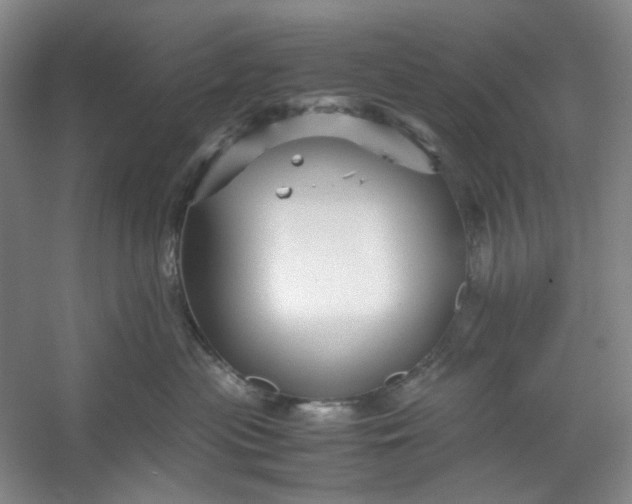 X0000053090477200507251609