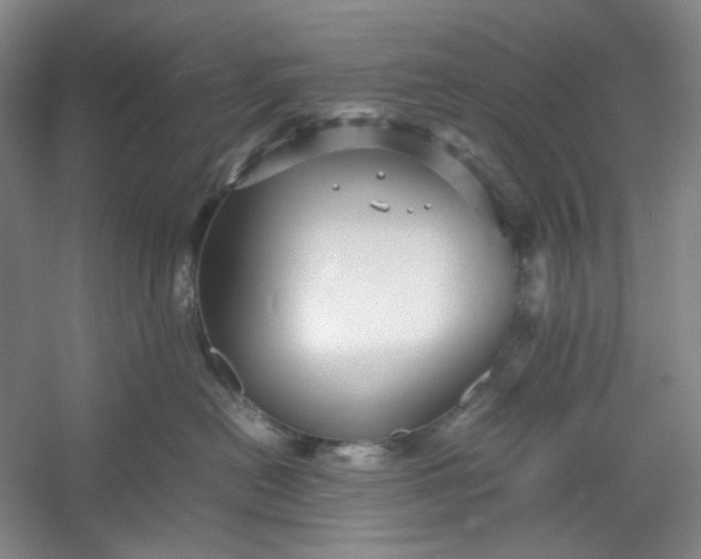 X0000053090478200507251609