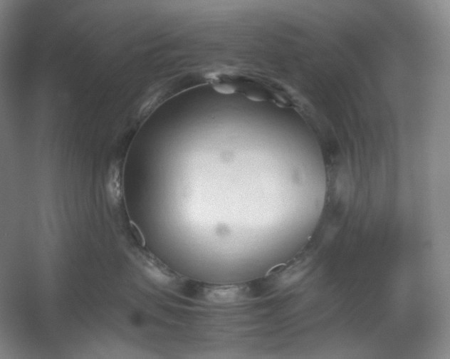 X0000053090479200507251609