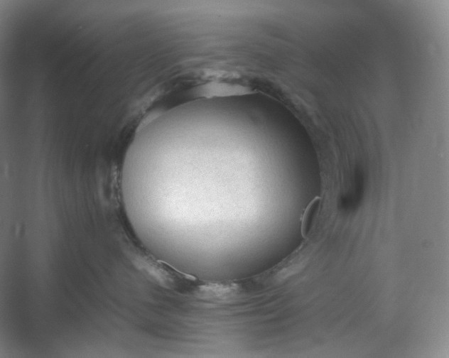 X0000053090480200507251609