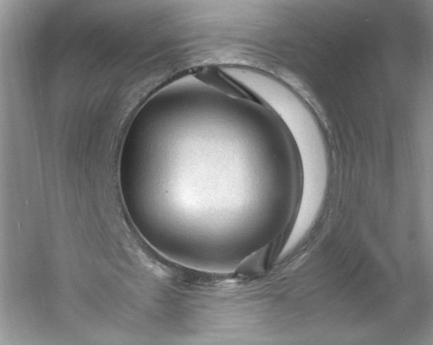 X0000053090481200507251609