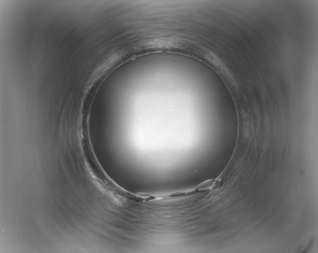 X0000053090486200507251608