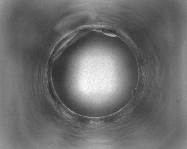 X0000053090487200507251608