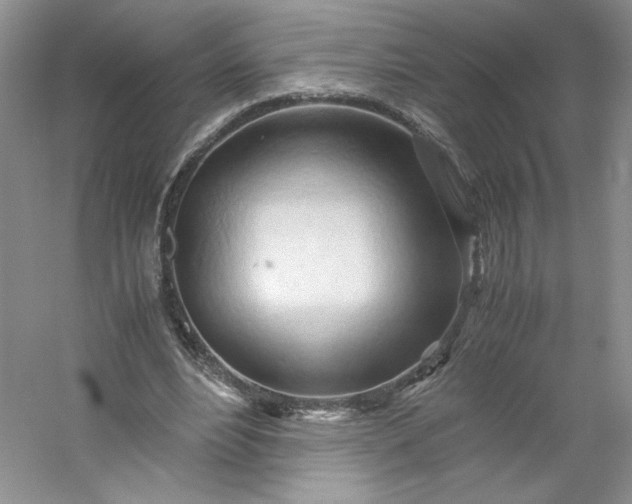 X0000053090488200507251608