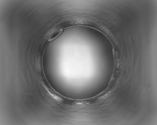 X0000053090489200507251608