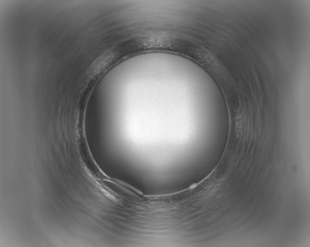 X0000053090490200507251608