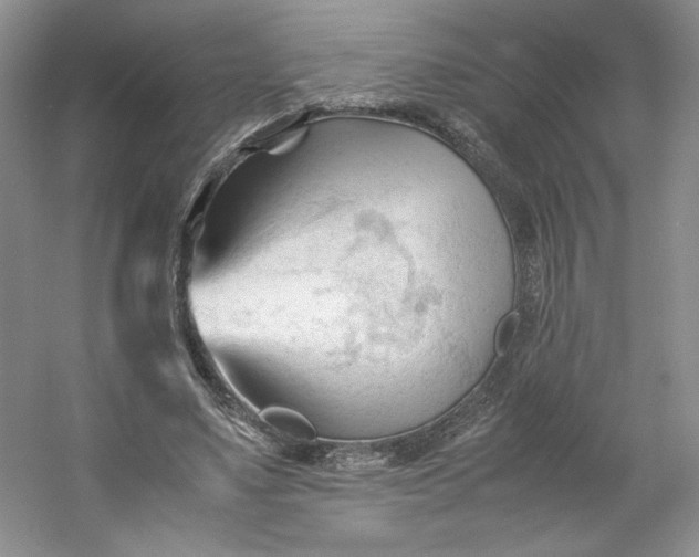 X0000053090491200507251608