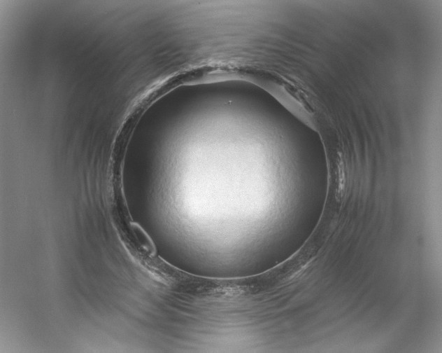 X0000053090492200507251608