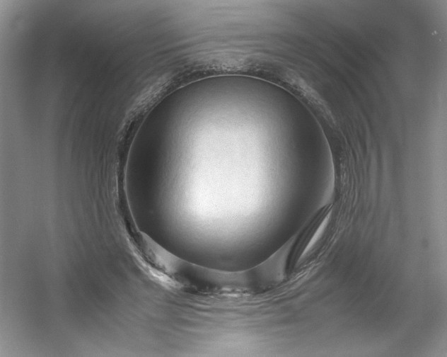 X0000053090493200507251608