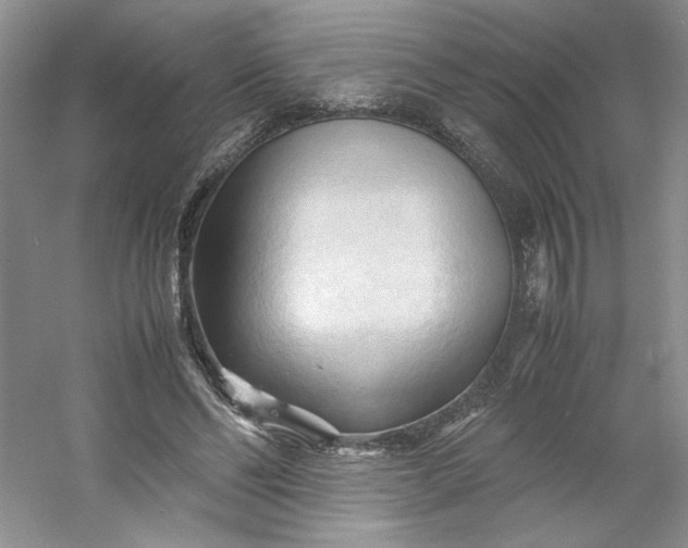 X0000053090494200507251608