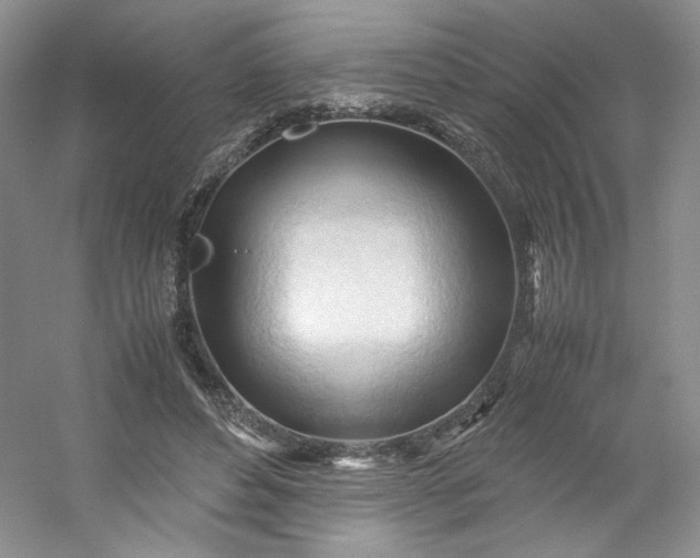 X0000053090496200507251608