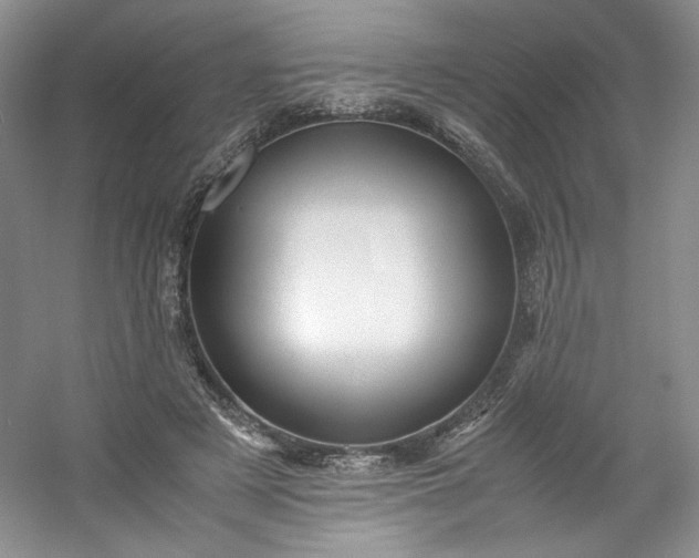 X0000053090497200507251608