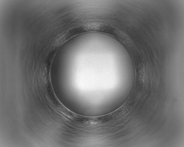 X0000053090498200507251608