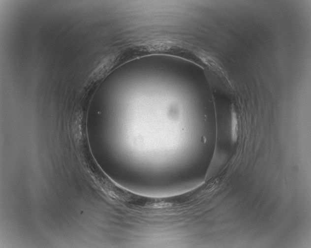 X0000053090501200507251608