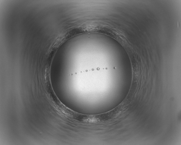 X0000053090503200507251608