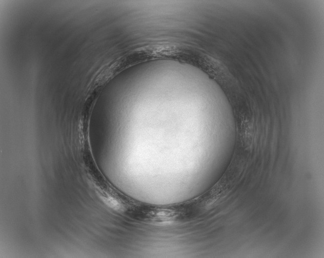 X0000053090506200507251608