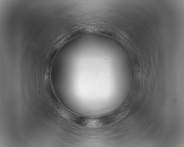 X0000053090507200507251608