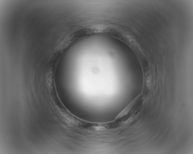 X0000053090509200507251608