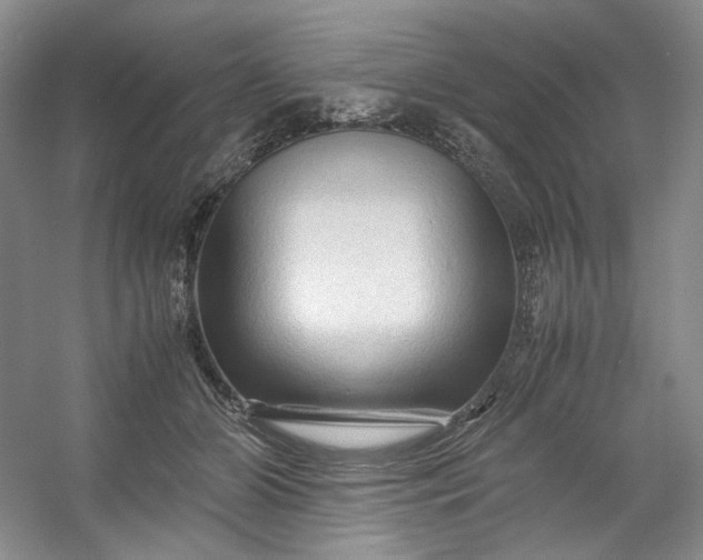 X0000053090510200507251608