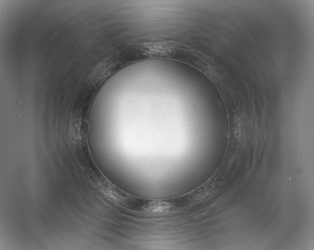 X0000053090514200507251608