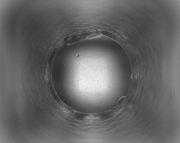 X0000053090515200507251608