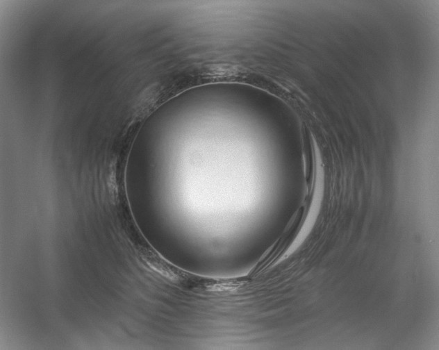 X0000053090516200507251608