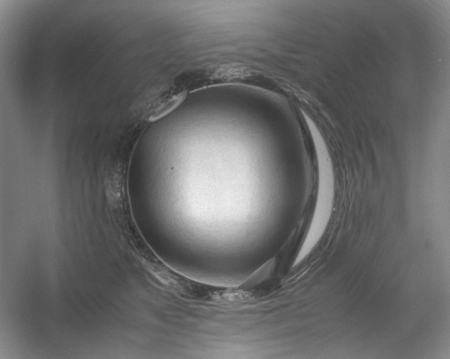 X0000053090517200507251608