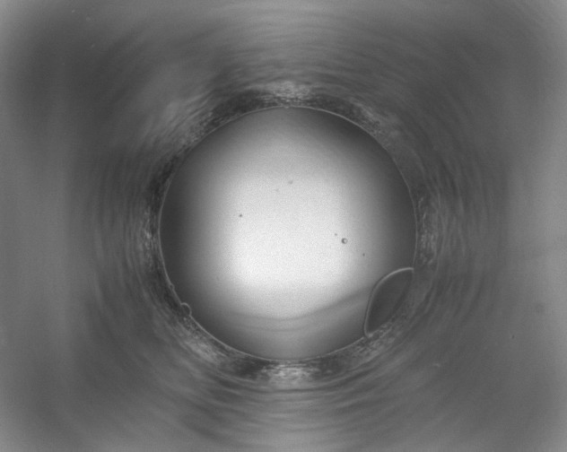 X0000053090518200507251608