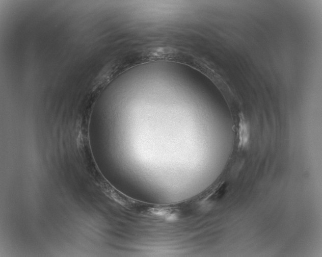 X0000053090520200507251608