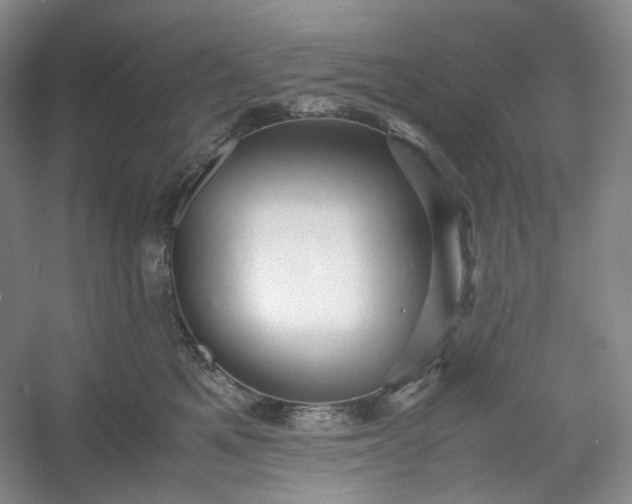 X0000053090521200507251608