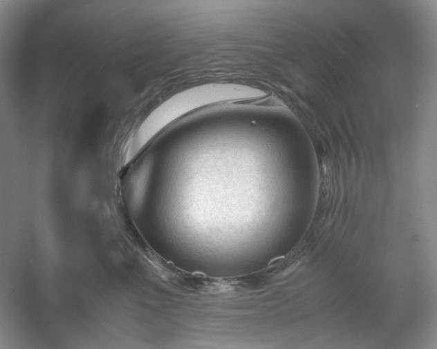 X0000053090523200507251608