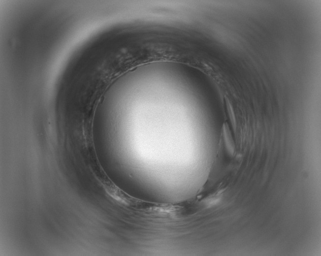 X0000053090524200507251608