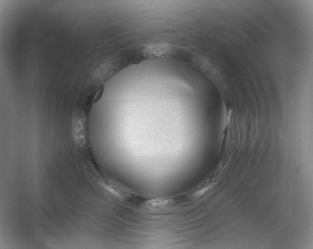 X0000053090526200507251608