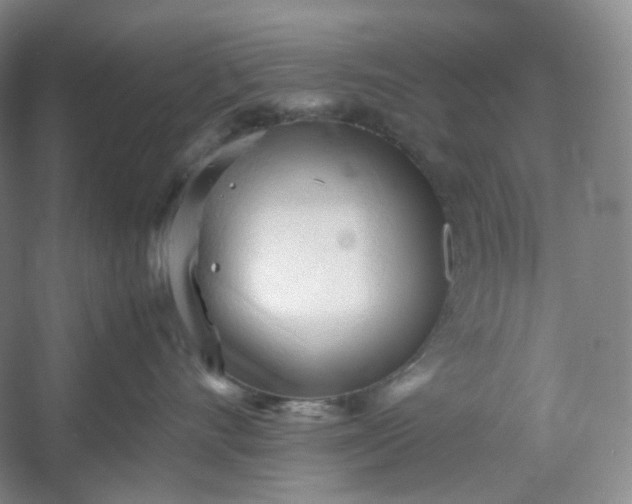 X0000053090528200507251608