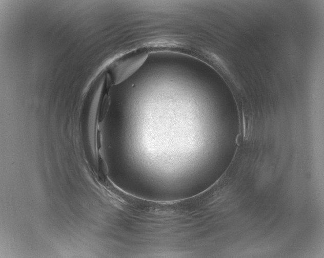 X0000053090531200507251607