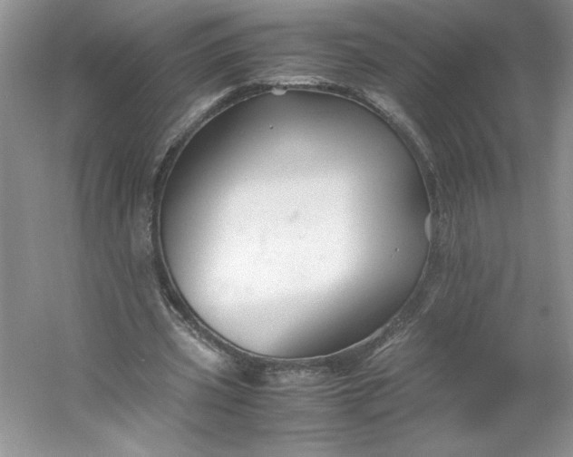 X0000053090533200507251607