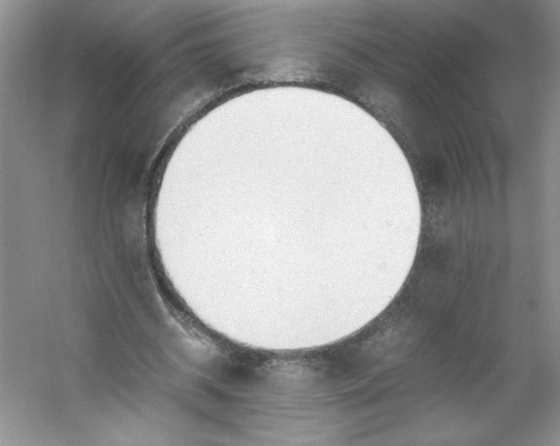 X0000053090534200507251607