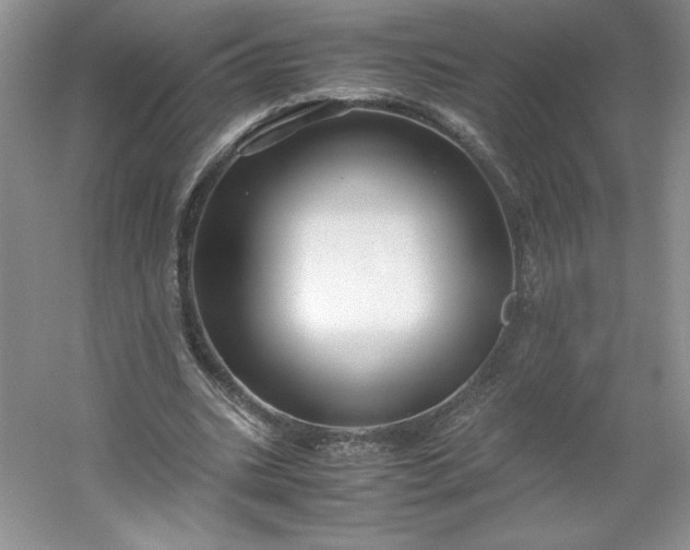 X0000053090535200507251607