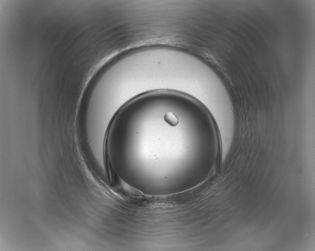 X0000053090536200507251607