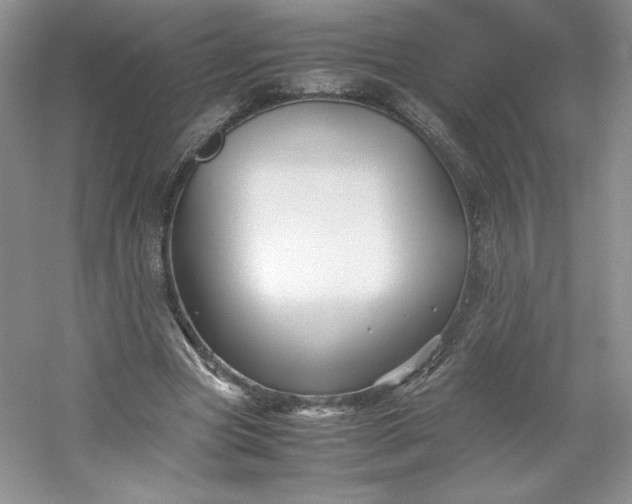 X0000053090537200507251607