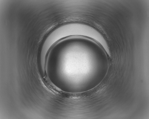 X0000053090538200507251607