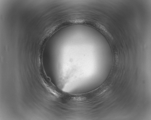 X0000053090541200507251607