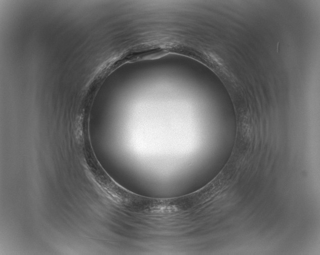 X0000053090543200507251607