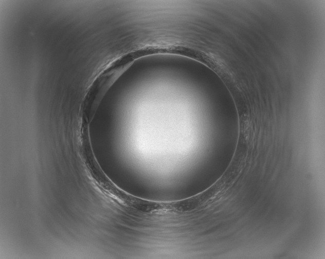 X0000053090544200507251607