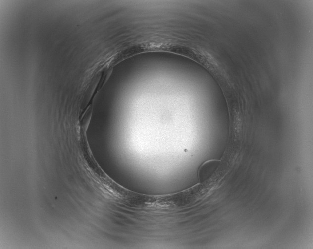 X0000053090545200507251607